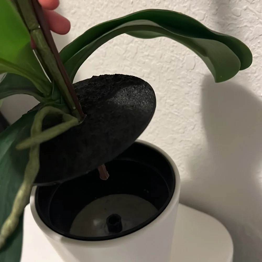 Faux Orchid in White Pot